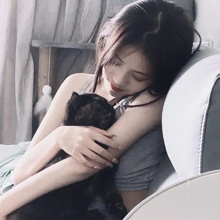 龟甲秘事之拨云见日